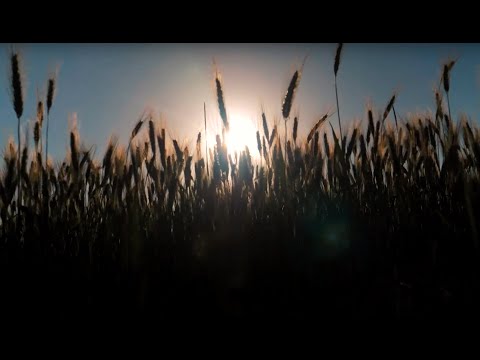 L'ascolto che unisce - Studio biblico - 22 aprile 2020