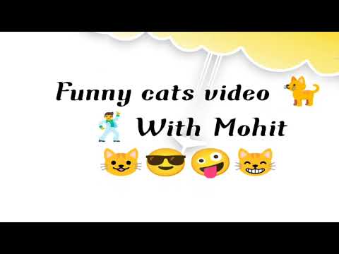 Funny cats video 🐈 #cute animals#finny cat videos#fun with Mohit and 🐈