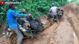 Download lagu Motor Ojek Sawit Jalan Ekstrim Ojek Sawit Handal Jalan Licin mp3