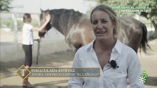 TodoCaballo | Yeguada SR4, la ganadería del futbolista Sergio Ramos