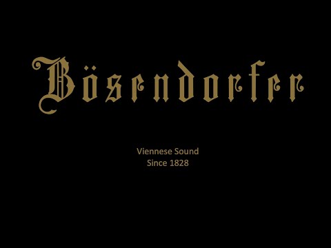 Ania and Sophie Druml play Mozart: Sonata in G major KV357 @ Bösendorfer Salon