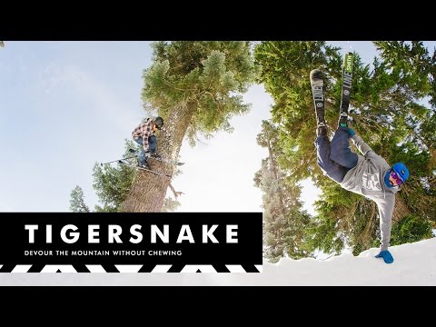 The 2017 LINE Tigersnake Skis - Devour the Mountain without Chewing