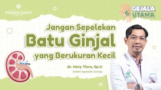 Download lagu What Are the Symptoms of Kidney Stones? | #Kidneystone #KidneyStoneSymptoms mp3