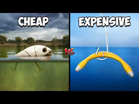 Cheap vs Expensive Fishing Challenge