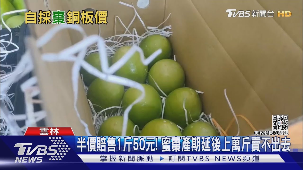 半價賠售1斤50元！　蜜棗產期延後上萬斤賣不出去