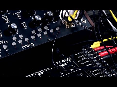 Modular Synthesis with Moog Mother-32 and Werkstatt-01