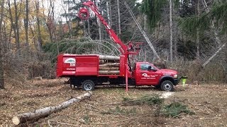 preview picture of video 'Monroe NY 10950 Tree Service  Tree removal Monroe Tommy Trees 845 590 9255'