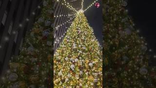 Christmas Tree Boney M song