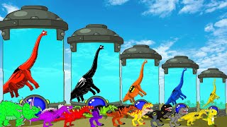 Brachiosaurus Dinosaur vs T-rex: Baby Dino in Danger! | + More Dinosaur Adventures