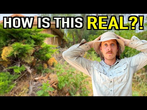 The Most Extreme FREE Yard Transformation I've Ever Done.