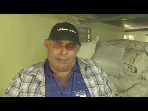 Refuerza municipio avileño de Bolivia programa arrocero