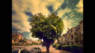 Screaming Trees - Look at you