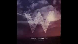 Jakwob - Somebody New (SaneBeats Remix)