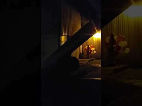 Master's Girls Blowing Off Steam