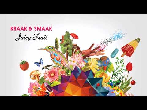 Kraak & Smaak - My Mind's Made Up (feat. Berenice van Leer) [Album Version]