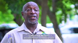 Lignum Vitae   The National Flower