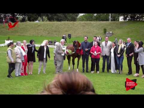 1ST N.46 LC FARFALLA - Scandinavian Open Championship 2017 - Senior Mares Championship (Class 37)