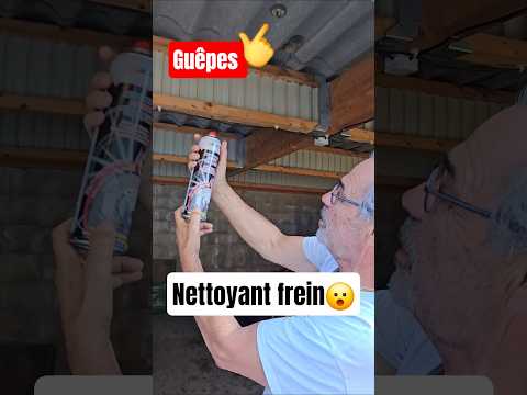 Nettoyant frein VS Guêpes😳