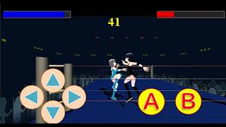 Fighting action game  "Fighting Girls"   Skyblue VS Black