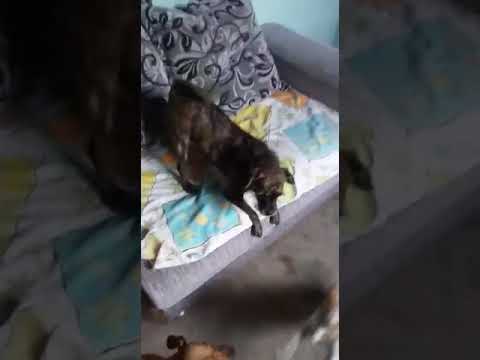 22 de agosto de 2019