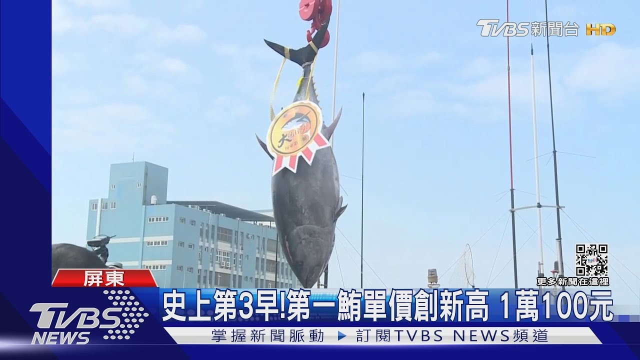 恭喜！屏東第一鮪拍賣單價再創新高　每公斤10100元