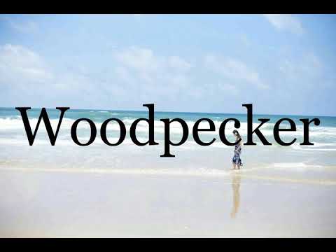 How To Pronounce Woodpecker🌈🌈🌈🌈🌈🌈Pronunciation Of Woodpecker