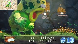 #10  何でも飲み込む山の巨体生物   【ヨッシーとフカシギの図鑑】