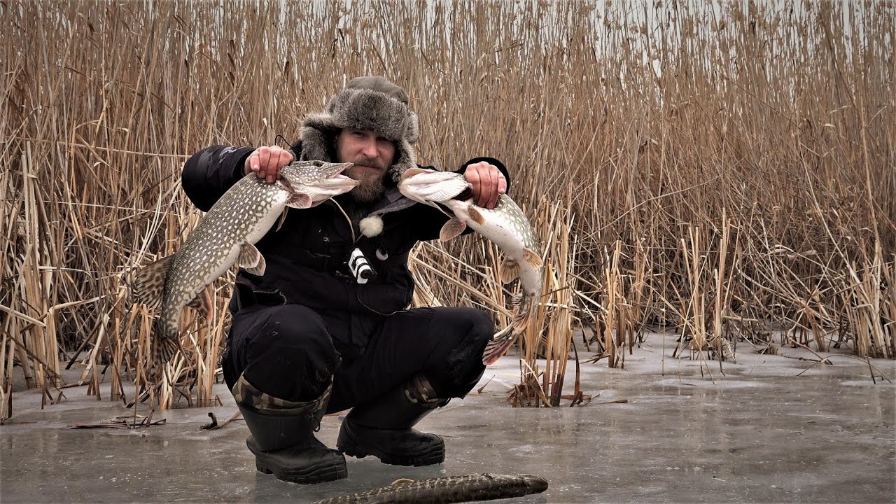 ЭКСТРЕМАЛЬНОЕ! Путешествие в Дельту Волги! Трудовая Рыбалка. Лучший рецепт КАРАСЯНДРИКА! Рыба ЕСТЬ!