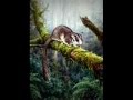 Possum's Last Dance - Blackmore's Night