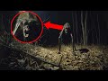 Insane Moments Captured on Trail Cam