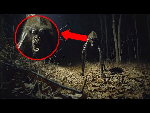 Insane Moments Captured on Trail Cam