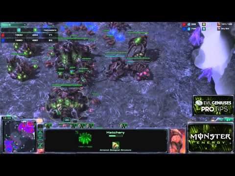 Monster Energy Pro Tips: EG.Machine Shows A Ling/Infestor Into Ultralisks