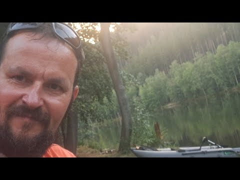 Live od vody..nonstop na svazovce ze Západních Čech🧡🐟🎣🧡#fishingvideo #carpfishing #catchandrelease