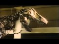 The Dinosaurs Flesh On The Bones Part 5