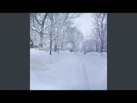 Når sneen falder stille ned