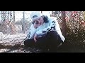 Bones - TheNoiseInsideMyHead [Legendado] HD ...