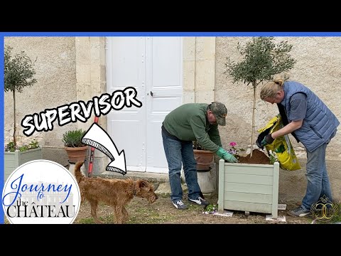 GARDENING and Spring CLEANUP in the CHATEAU Court of Honor - Journey to the Château, Ep. 89