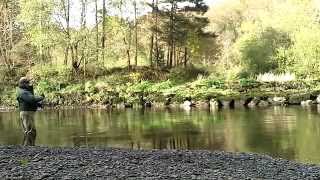 preview picture of video 'Salmon Fishing Ireland 2012 Inniscarra Salmon Fishery ( Switch Rod )'