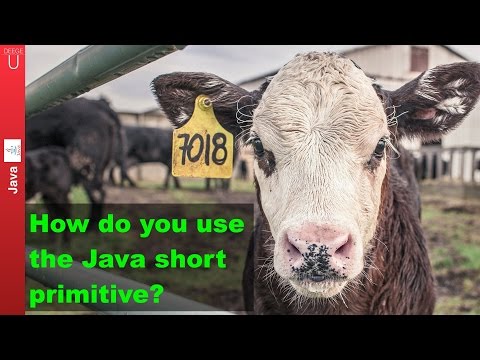How do you use the Java short primitive? - 007