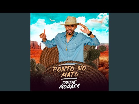 Meu Pedaço de Mal Caminho