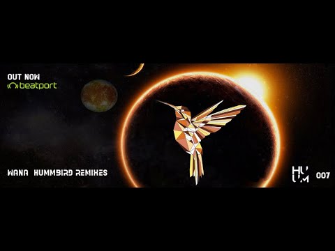 Wana - Hummbird (Yefim Malko Remix) 🇲🇽 🇩🇪