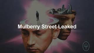 MULBERRY STREET LEAKED- TWENTY ONE PILOTS!💥🎶🎤