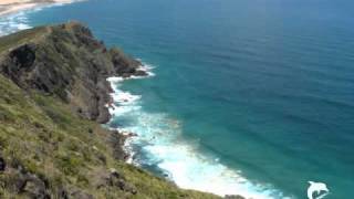 Hey Mercedes - Save a life