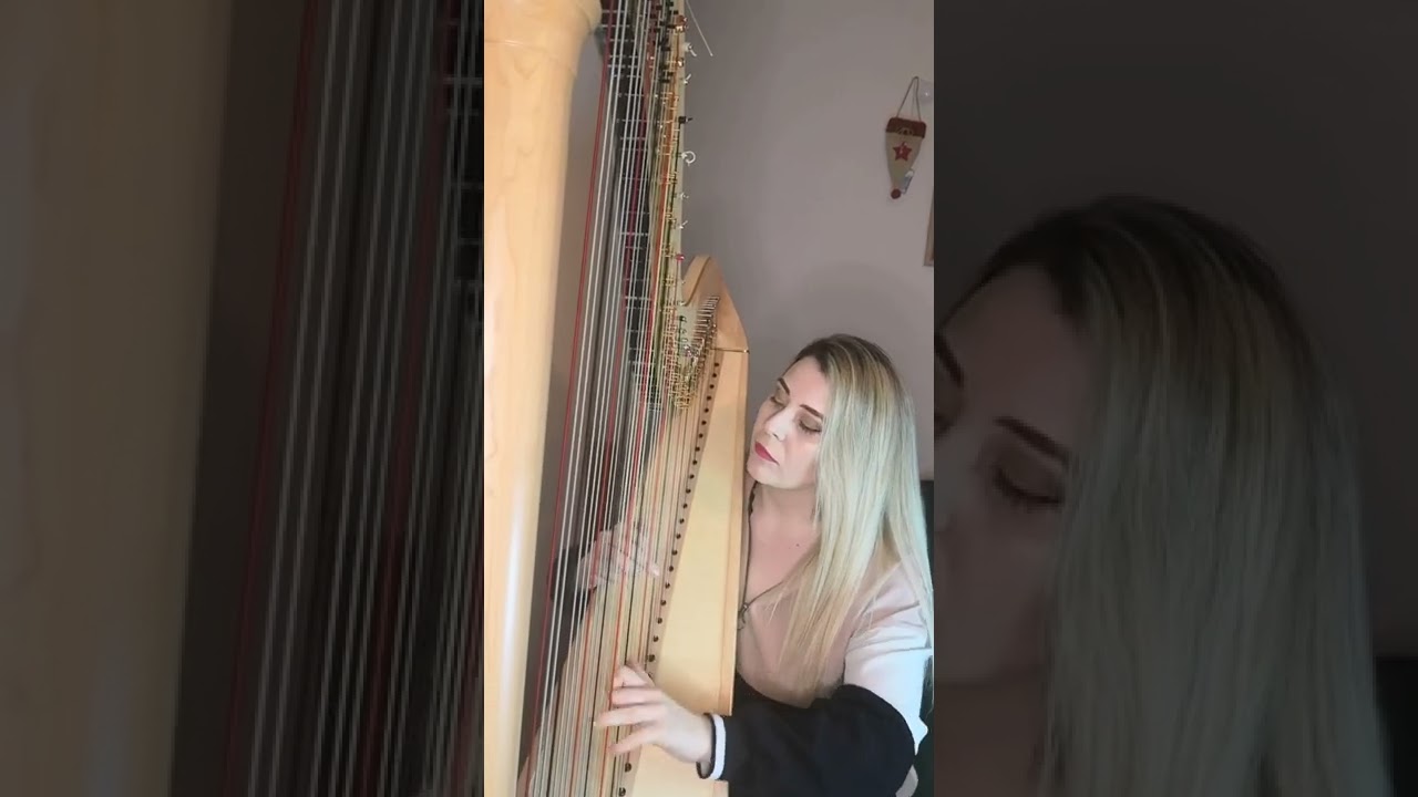 YouTube snimak