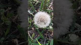 It&#39;s Cinco de Mayo And Still Snowing In Tejas - Saturday May 5th, 2018