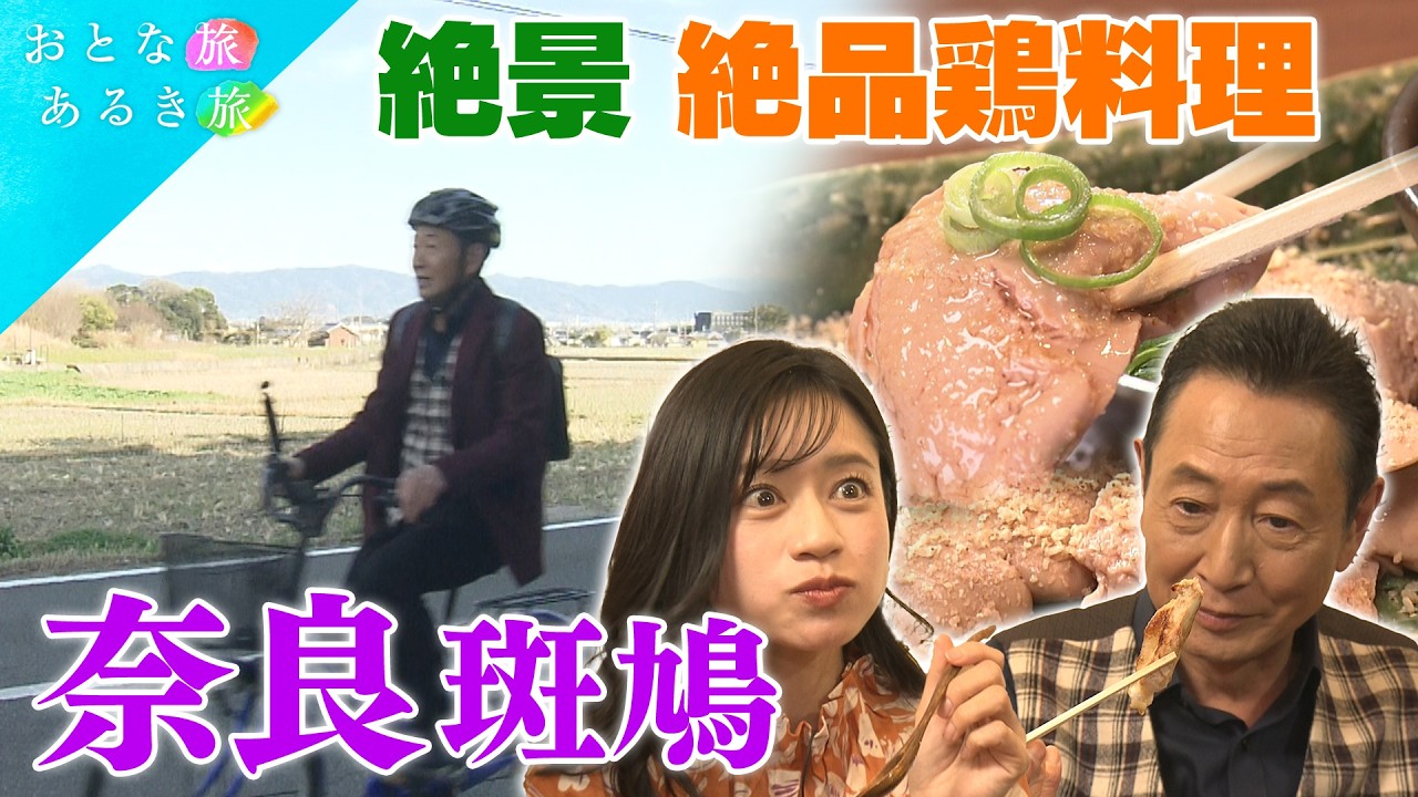 【世界遺産の町🏯奈良・斑鳩】歴史ロマン×美味いもん　法隆寺～大和麩～サイクリング～古墳～注染～大和肉鶏　#おとな旅あるき旅    #traveljapan     #三田村邦彦 　#斉藤雪乃