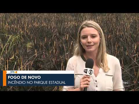 [1080p] Escalada do "Jornal do Almoço - Florianópolis" com Laine Valgas e Mário Motta (03/10/19)