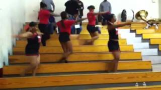 MHS Drill Team dancing to Suck It