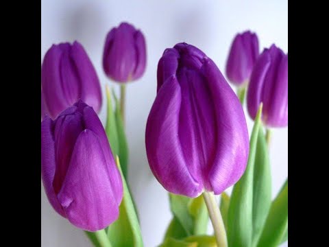 12/07/25 PM Jeramiah 10