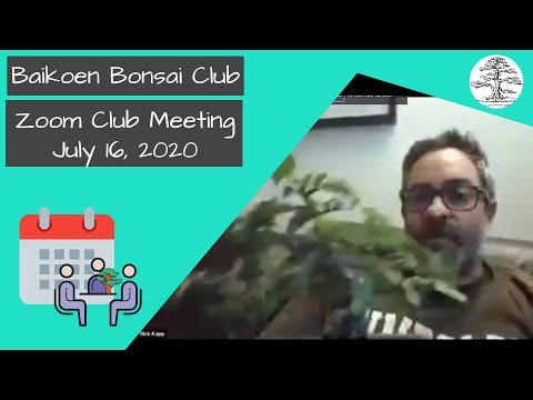 July 2020 Zoom Recording - Club Meeting - Baikoen Bonsai Club - Safer @ Home Series